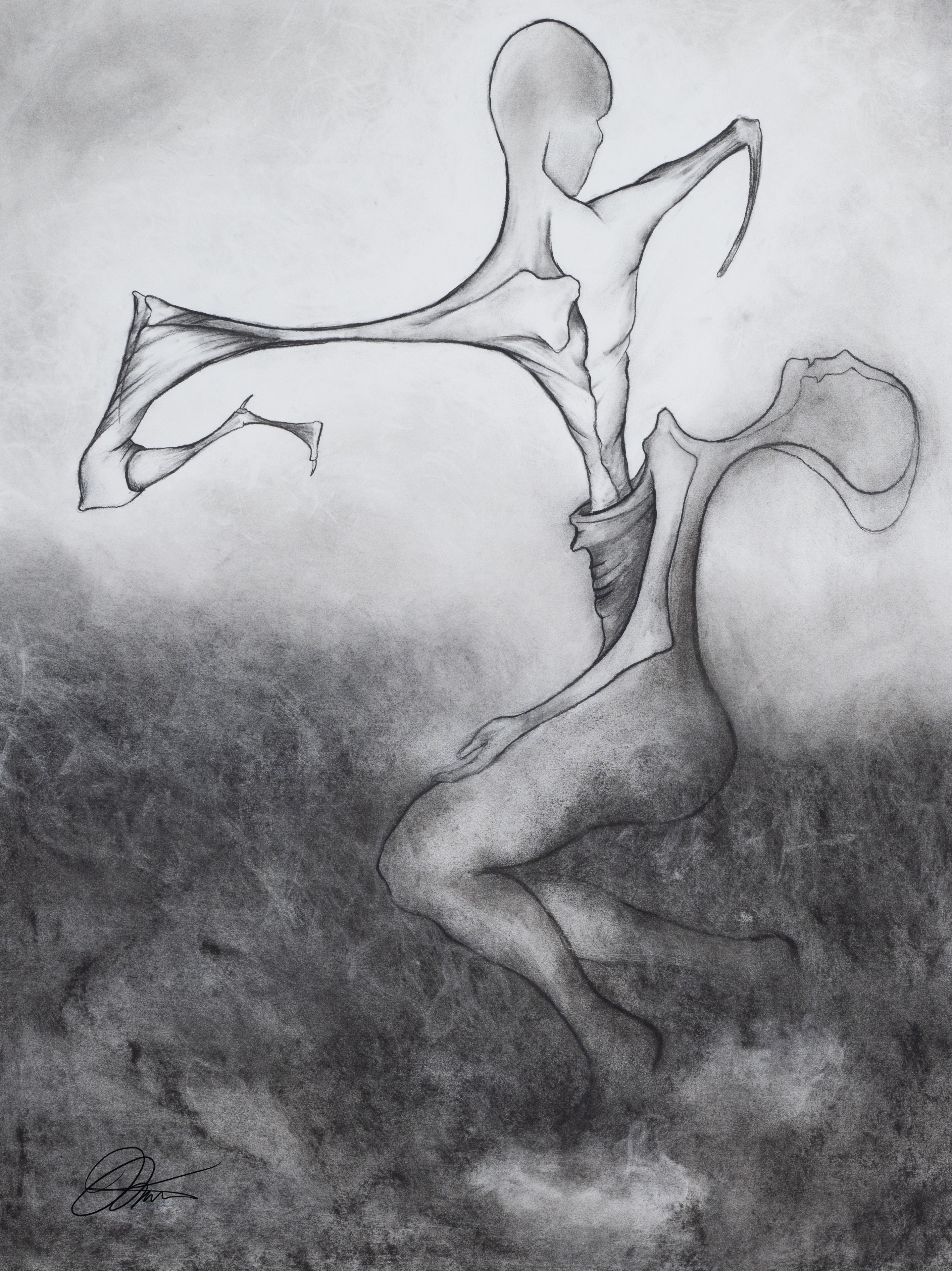 Rebirth (charcoal) - Print